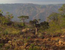 La falta de aire es un asunto que atañe al espíritu / Shortness of breath is a matter that concerns the spirit